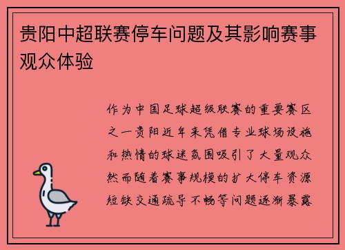 贵阳中超联赛停车问题及其影响赛事观众体验