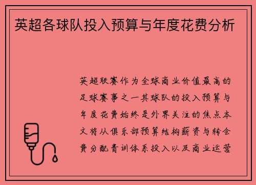 英超各球队投入预算与年度花费分析