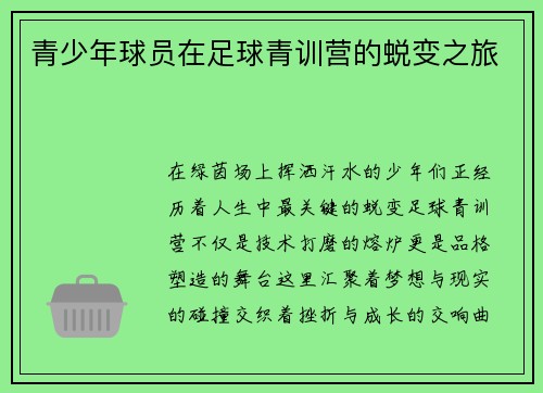青少年球员在足球青训营的蜕变之旅